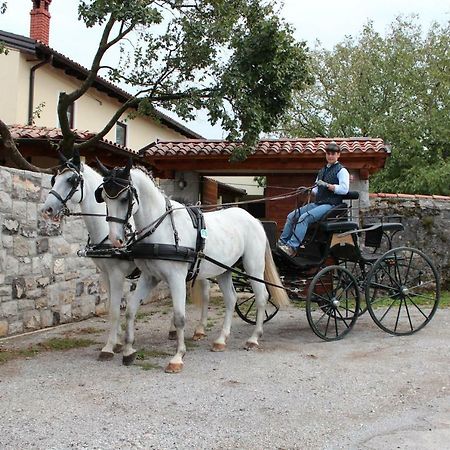 Country House Lokev ξενώνας Εξωτερικό φωτογραφία