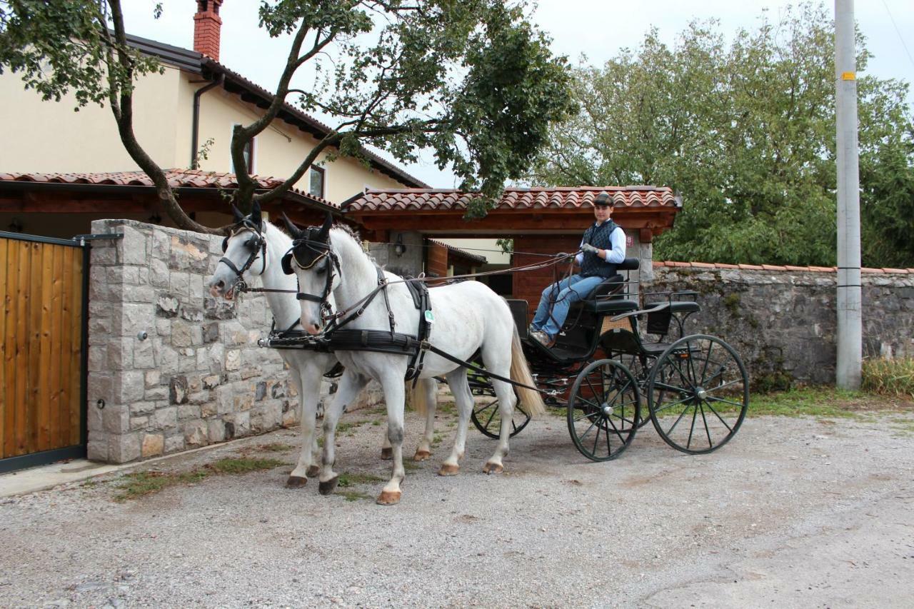 Country House Lokev ξενώνας Εξωτερικό φωτογραφία